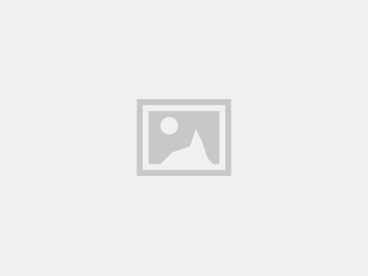 99 – Dam Elegans • Hopp • Framtid